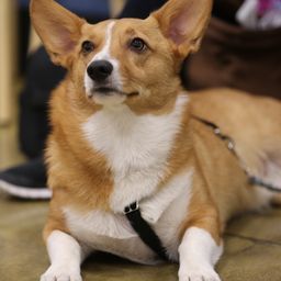 photograph by PeterW